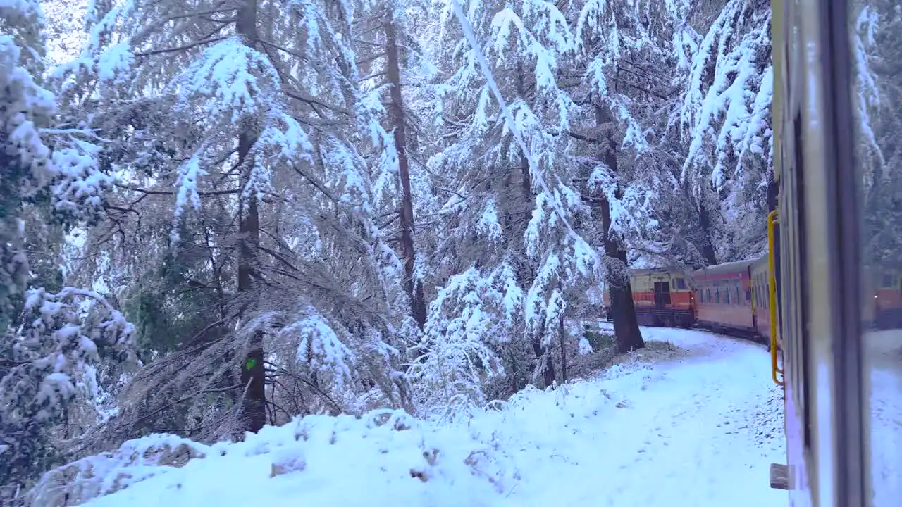 The Kalka–Shimla toy train winding through snowy forest near Shimla